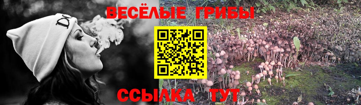 Миасс  Псилоцибиновые грибы ЛСД  Вход с VPN 